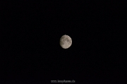 DSC_1347a