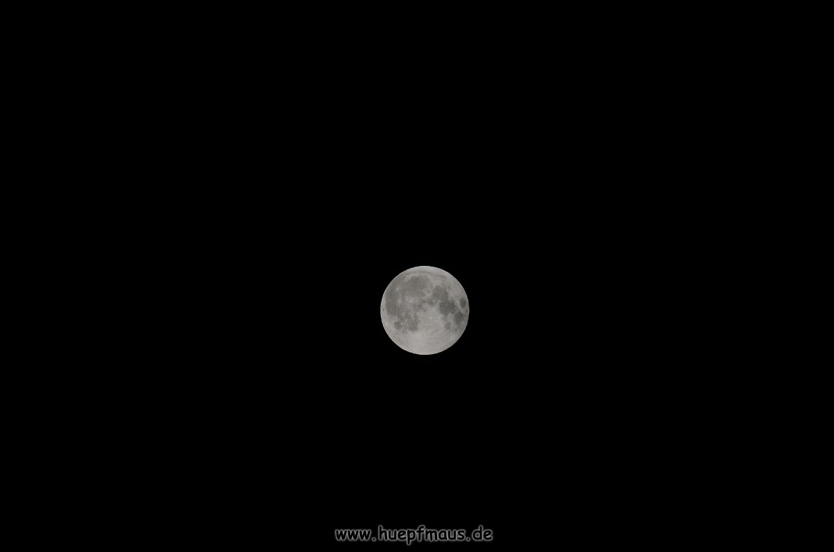 DSC_1411a.jpg