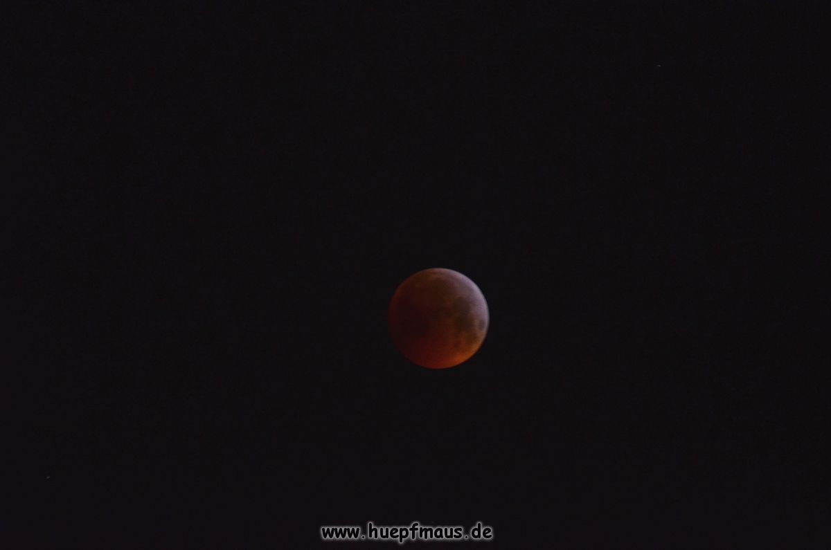 DSC_2466a.jpg