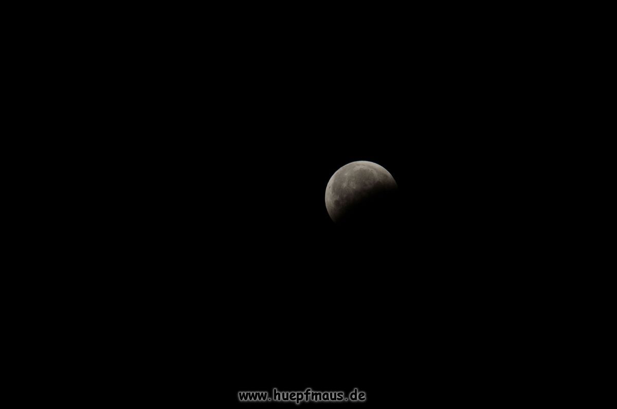 DSC_2504a.jpg