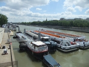 DSCF8958