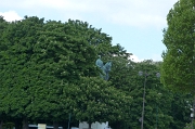 P1070506