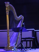 DSCF2406