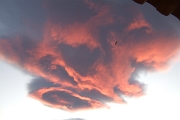 DSCF6569