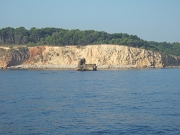 DSCF9649