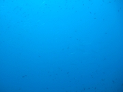 DSCF9662