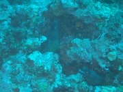 DSCF9669