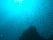 DSCF9672