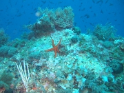 DSCF9674
