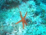DSCF9675