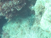 DSCF9702