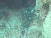 DSCF9703
