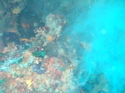 DSCF9711