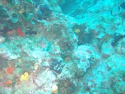 DSCF9728