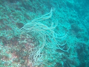 DSCF9731