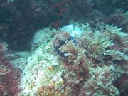 DSCF9739