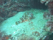 DSCF9742