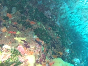DSCF9795