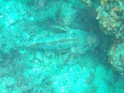 DSCF9798