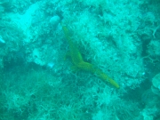 DSCF9824