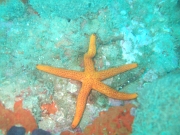 DSCF9829