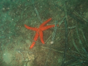 DSCF9834