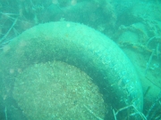 DSCF9835