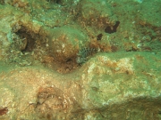 DSCF9838