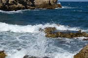 P1140194