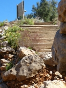 P1140235