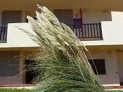 P1140253