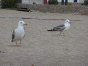 P1050075