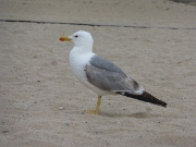 P1050077