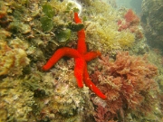 PICT0031