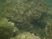 PICT0037