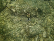 PICT0038