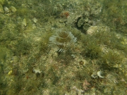 PICT0041