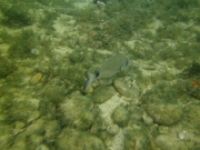PICT0043