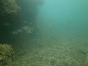 PICT0044