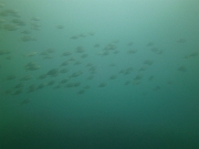 PICT0047