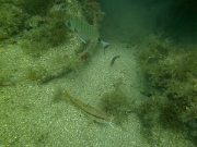 PICT0053