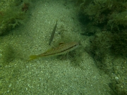 PICT0054