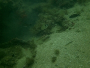 PICT0056