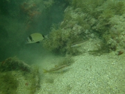 PICT0057