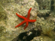 PICT0067