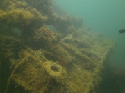 PICT0071