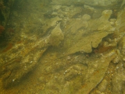 PICT0078