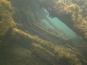 PICT0080