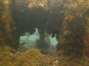 PICT0082