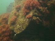 PICT0084